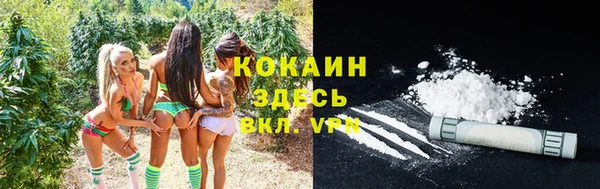 таблы Гусь-Хрустальный