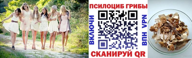 Купить закладки  Камень-на-Оби  Псилоцибиновые грибы мухоморы 